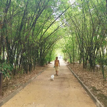 Home2book Chic Penthouse With Terrace, Cruz