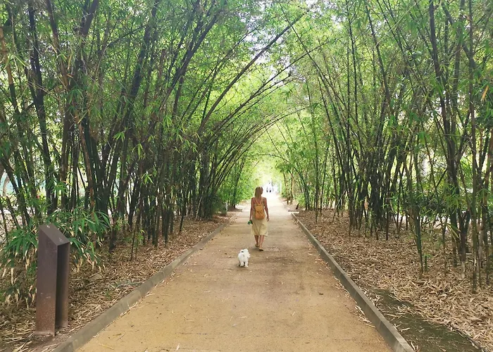 Home2book Chic Penthouse With Terrace, Cruz